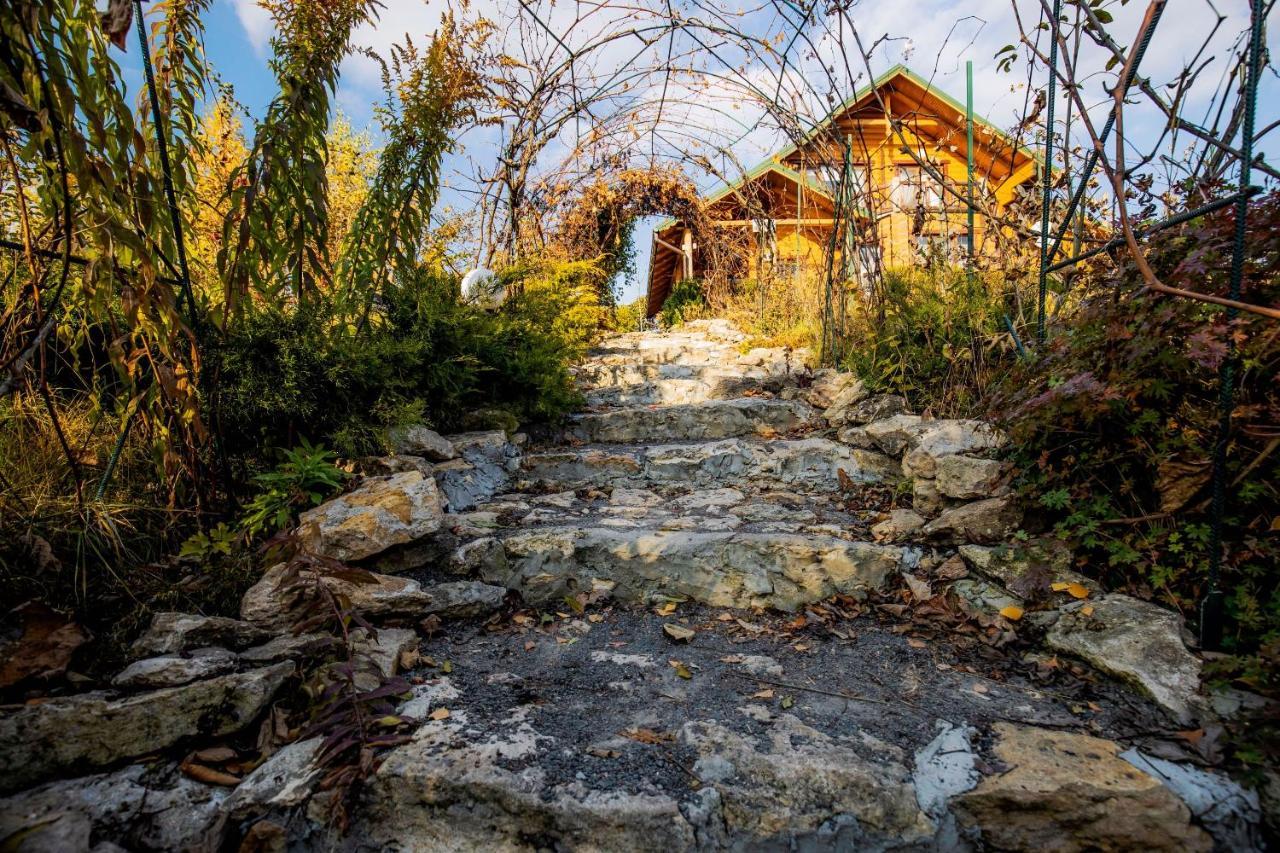 Country House Domik V Derevne Markovtsy (Khmelnytskyy) Exterior foto